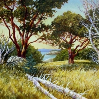 Arbutus at Heliwell Arbutus at Heliwell