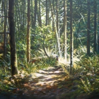 Deep in the Woods Deep in the Woods
