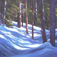 Snow Shadows II Snow Shadows II