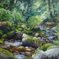 Mossy Creekbed Mossy Creekbed